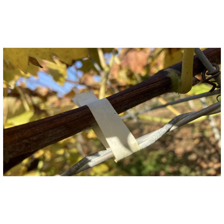Boîte de 10 rubans blanc biodégradables TAPE-P13W pour pinces HT Max, épais. 0,13 mm, long. 34 m