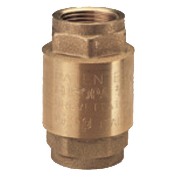 Clapet anti-retour laiton Europa 3" x 3" femelle NETAFIM