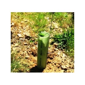 Tubex Vignes H:40cm 