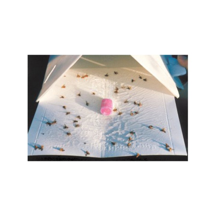Piège Delta ECONEX TRIANGULAIRE BLANC pliable sans lames