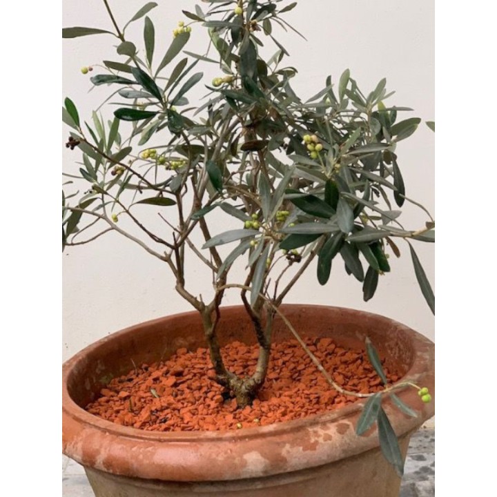 Brique pilée 5/10 mm Lonodis pour paillage et décoration - big bag 1 tonne
