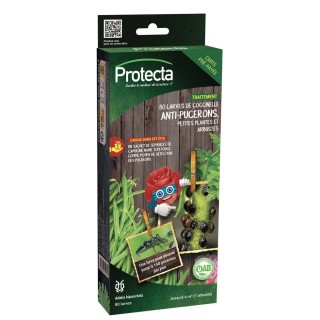 Anti-pucerons Protecta - 80 Larves de coccinelle - Petites plantes, arbustes