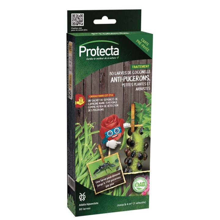 Anti-pucerons Protecta - 80 Larves de coccinelle - Petites plantes, arbustes