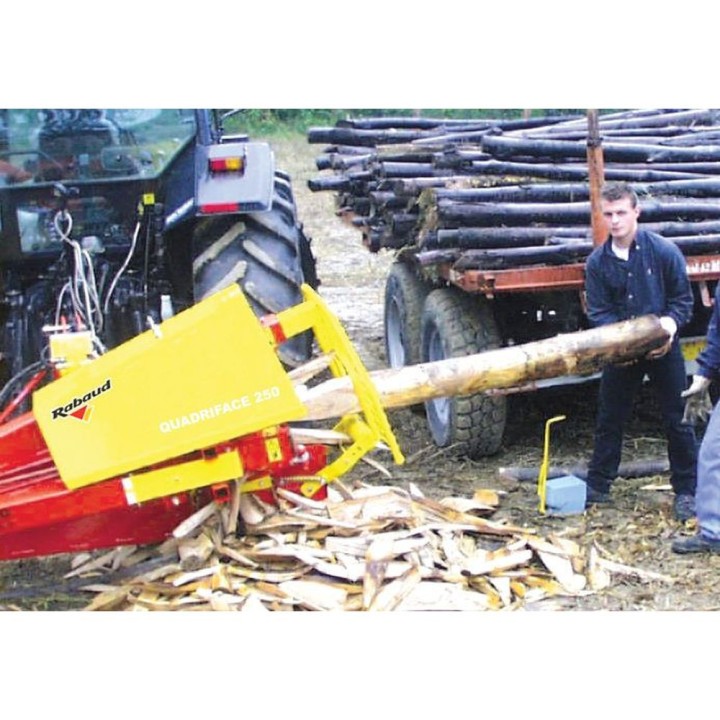 Appointeuse de pieux BIFACE 240 CH Rabaud