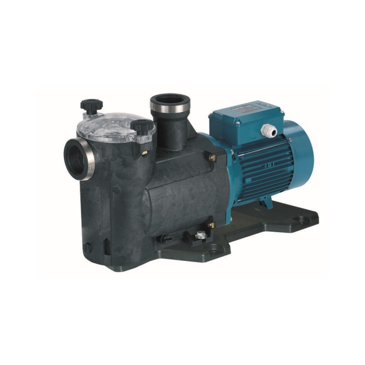Pompe autoamorçante I-MPCM 31 MONO Calpeda