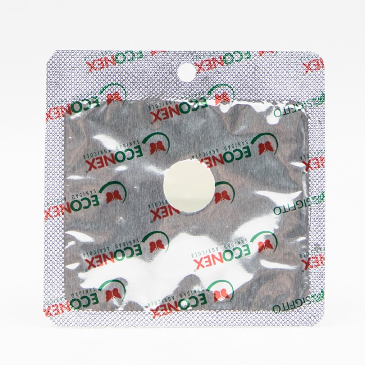 Kairomone Scolyte Tomicus destruens, 60 jours