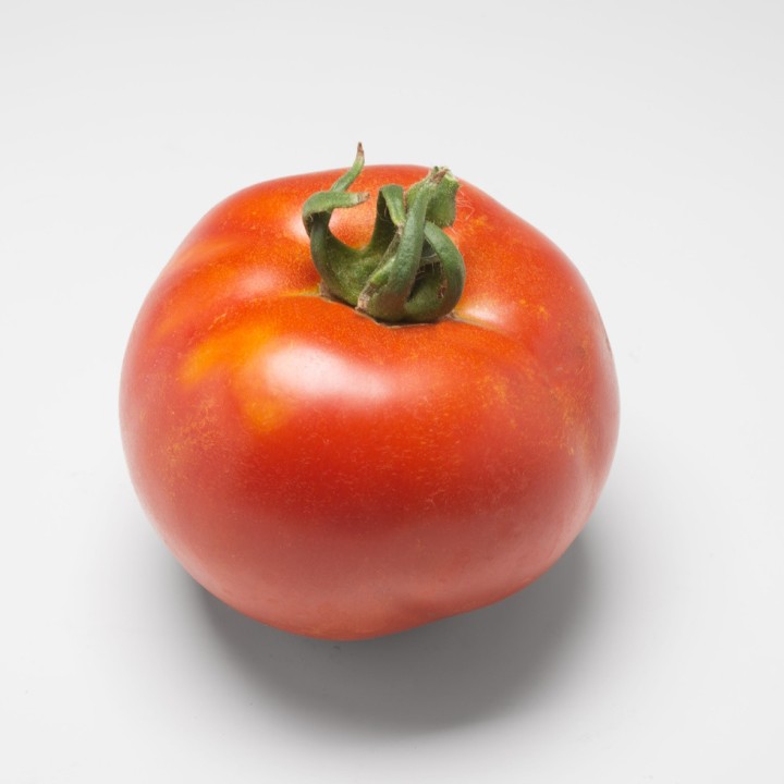 Tomate MONTFAVET 63-5 F1 ronde - Non traité