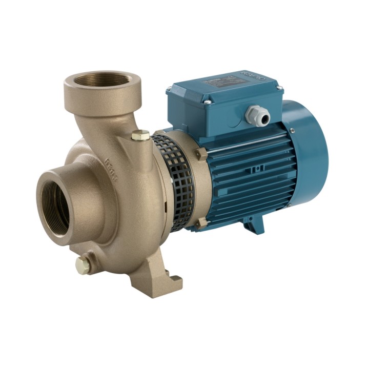 Pompe centrifuge monobloc NM 17G CAT TRI Calpeda