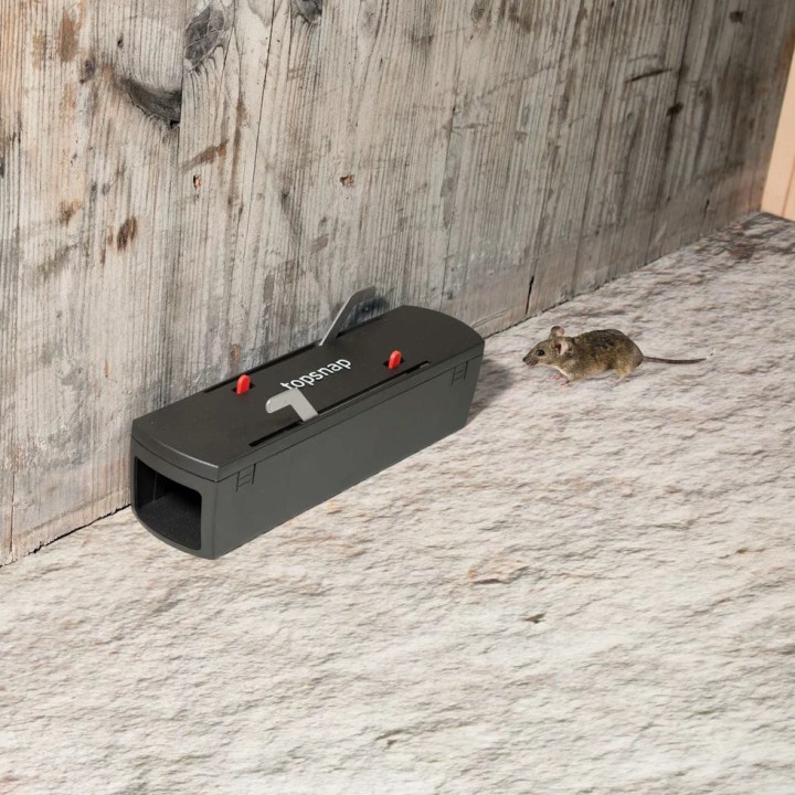 Piège Topsnap Andermatt, contre souris, mulots, rats noirs et petits rongeurs