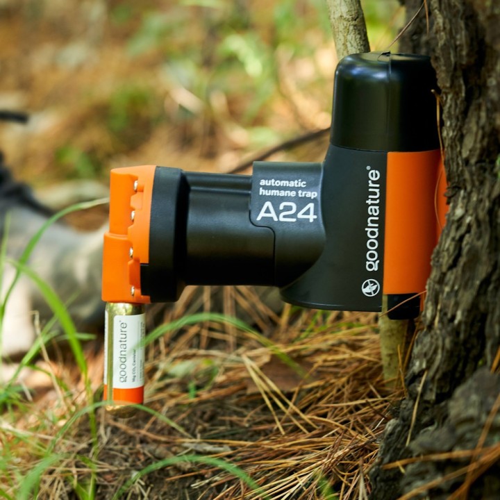 Kit piège de démarrage Goodnature A24 pour rats et souris