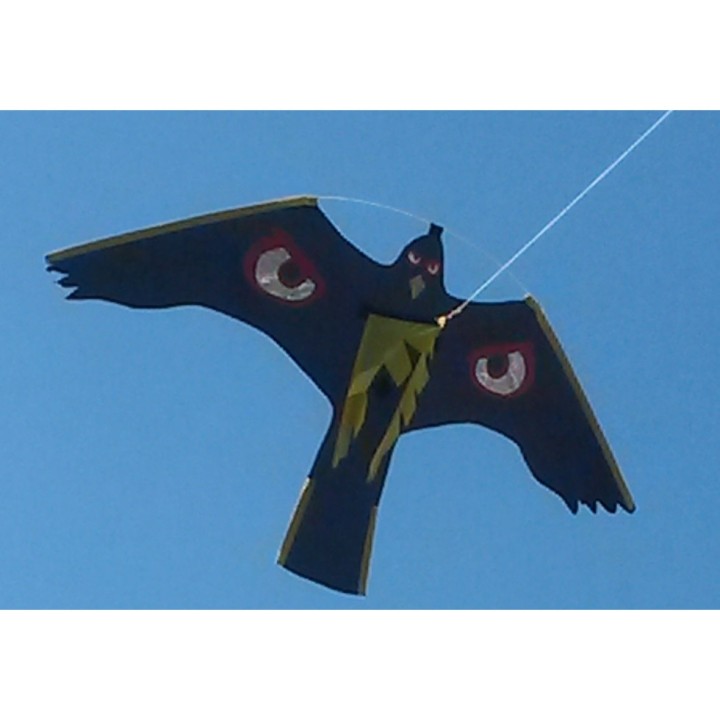 Cerf-volant effaroucheur Volgeur, rapace oeil brillant - envergure 140 cm