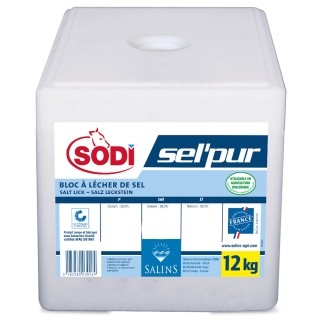 copy of 
