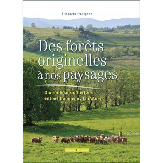 Des forêts originelles à nos paysages