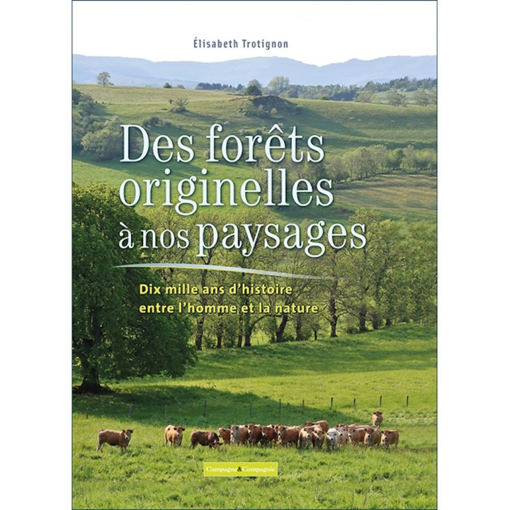 Des forêts originelles à nos paysages