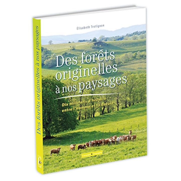 Des forêts originelles à nos paysages