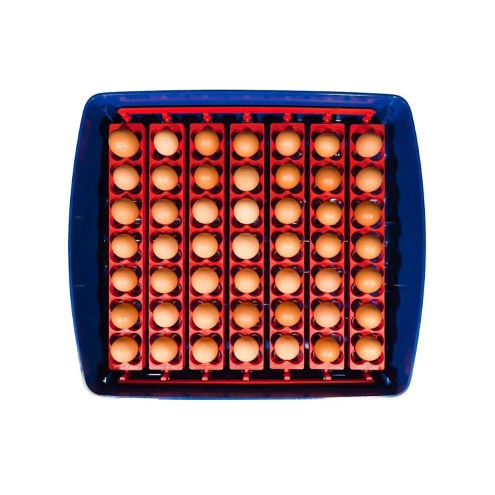 Couveuse REAL 49 EXPERT Borotto automatique avec humidificateur SIRIO