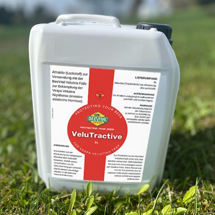 Attractif piège Velutina BeeVital pour frelon asiatique - 5 L