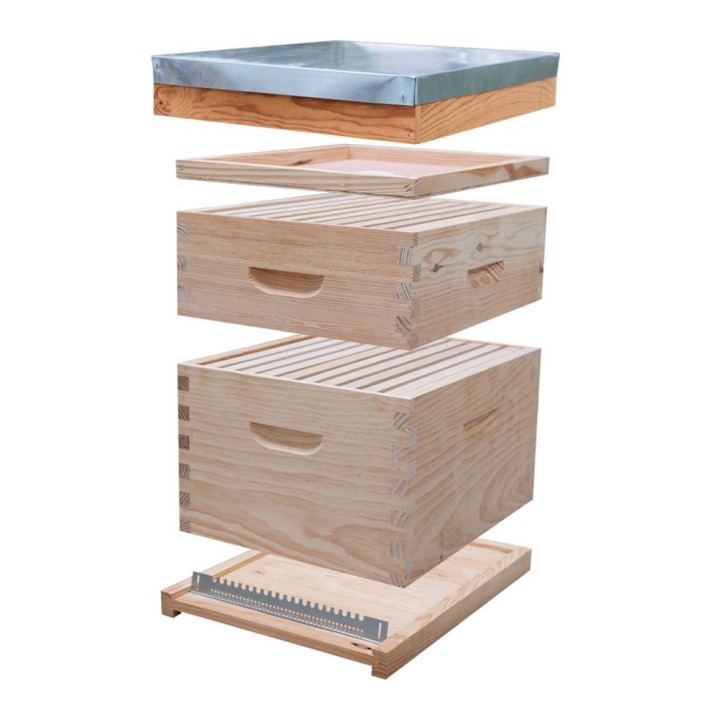 Ruche complète Dadant 10 cadres tradition toit plat (cadres filés) - Thomas Apiculture