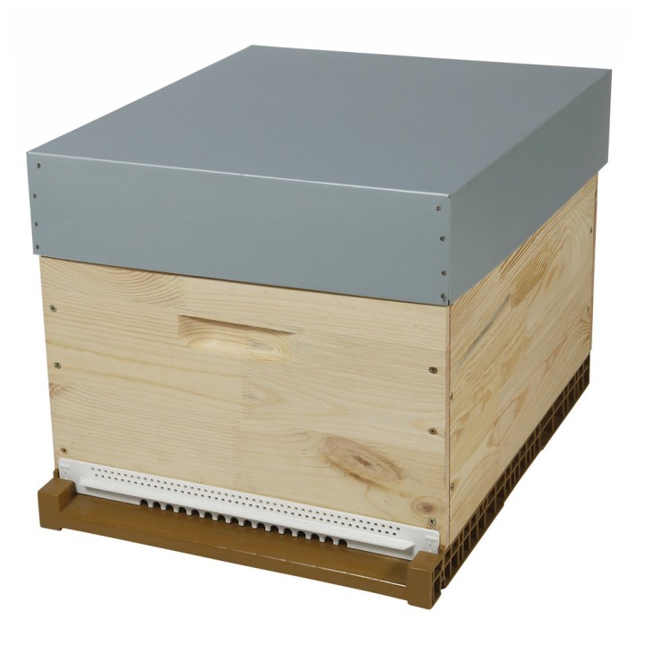 Ruche Dadant 10 cadres découverte (cadres filés) - sans hausse - Thomas Apiculture