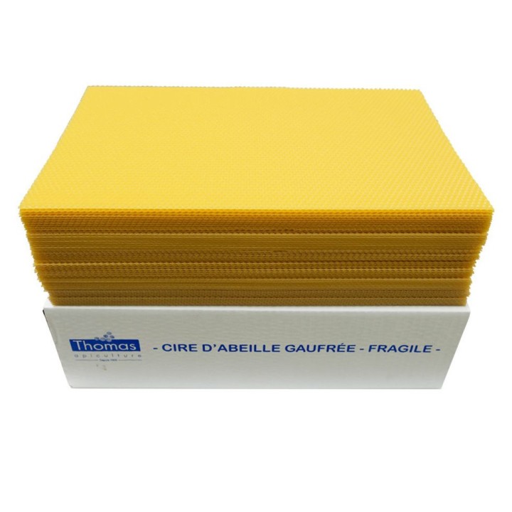 Cire corps Thomas gaufrée et conditionnée, disponible en plusieurs quantités - Thomas Apiculture