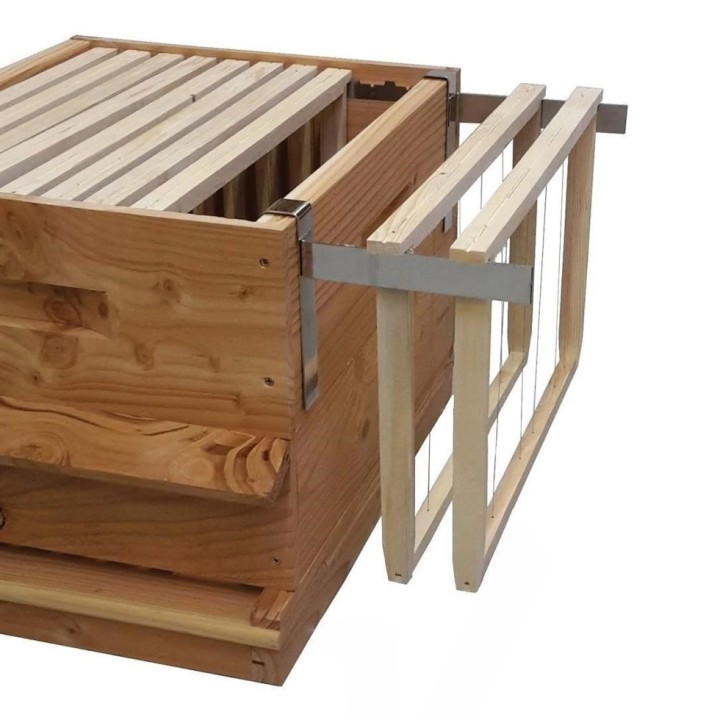 Support de cadre pour visite - universel - Thomas Apiculture