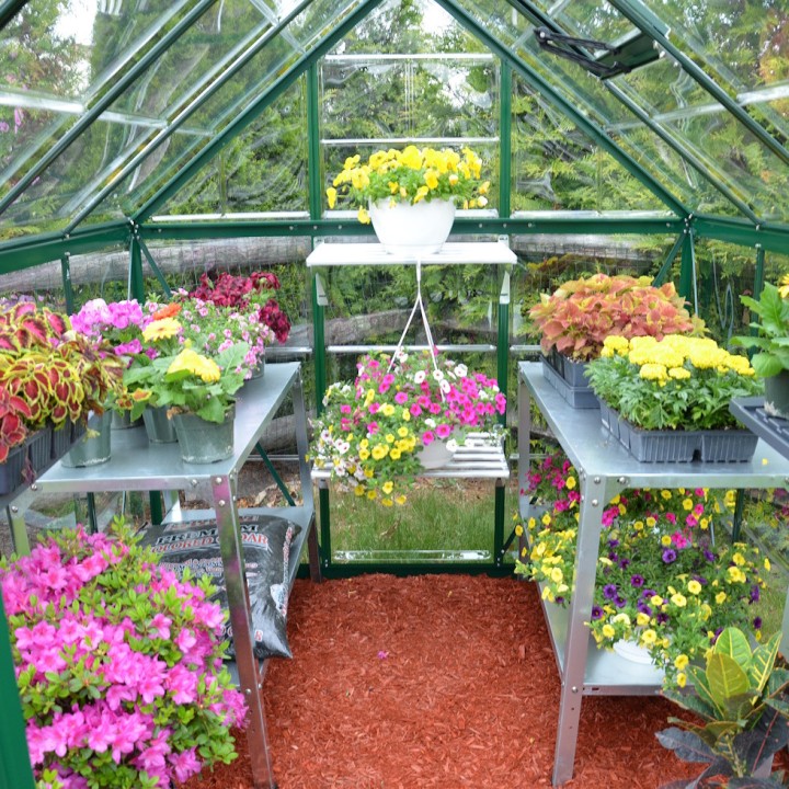 Serre de jardin Harmony Verte Canopia