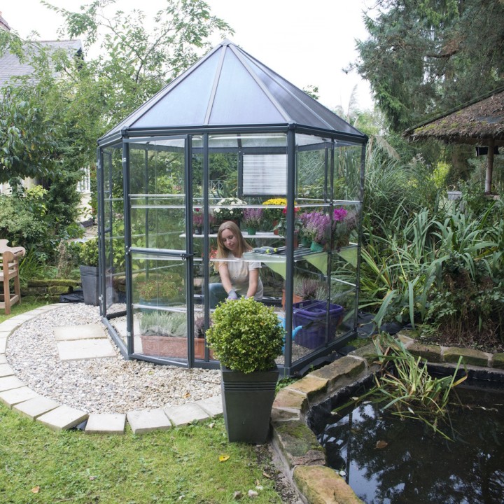 Serre de jardin hexagonale Oasis Grise Canopia