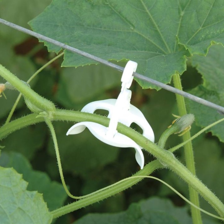 Kit de palissage Canopia pour serre de jardin