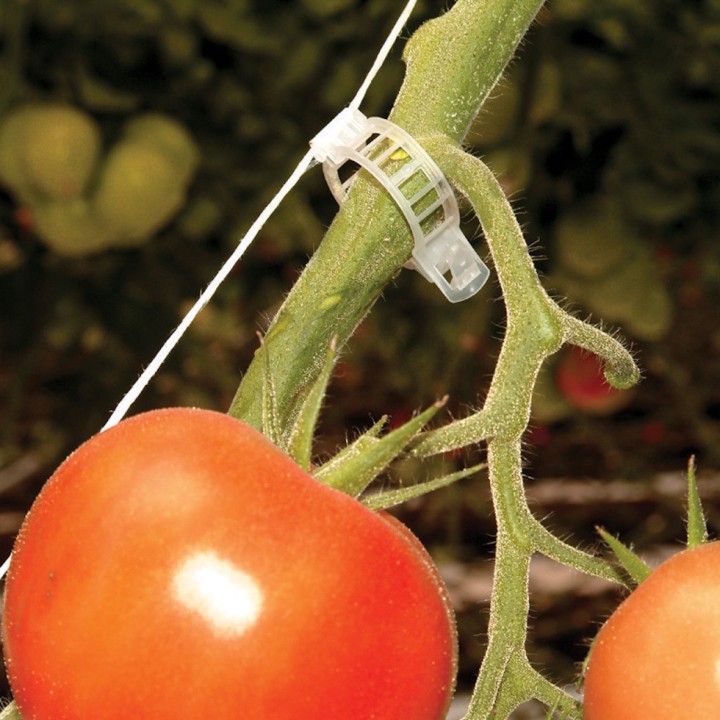 Kit de palissage Canopia pour serre de jardin