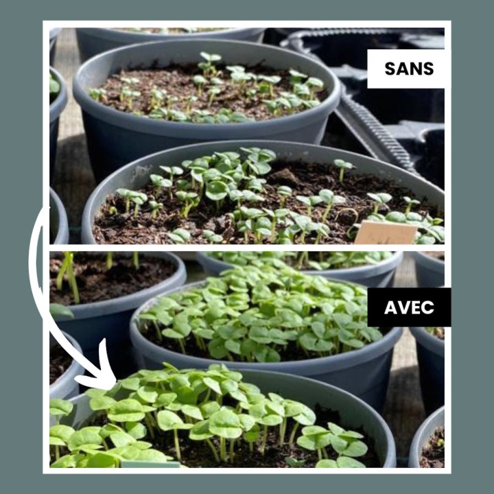 Biochar mycorhizé Trilis Terra fertilis - Granulométrie 2-4 mm, 5 et 10 kg