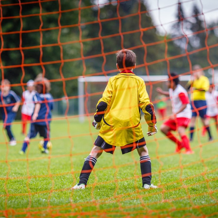 Gazon Professionnel de Regarnissage CHALLENGE