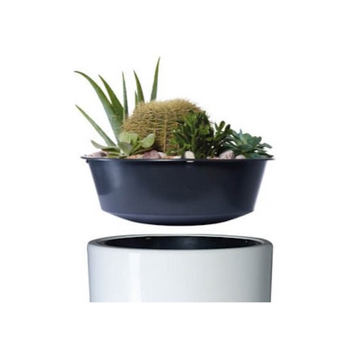 Kit réservoir Linus Garantia, 2en1, 220 L - Gris graphite