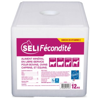 Bloc à lécher cubique 12 kg / Pierre de sel SELI FECONDITE - A l'unité ou en palette