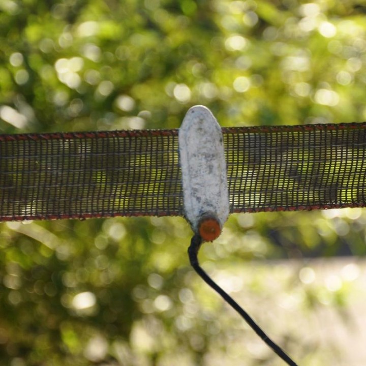 Câble de raccordement Électrificateur à Ruban