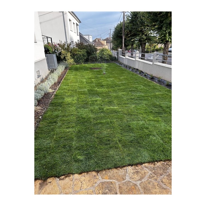 Rouleau de Gazon de Placage Naturel RollGazon France Agrément au m2