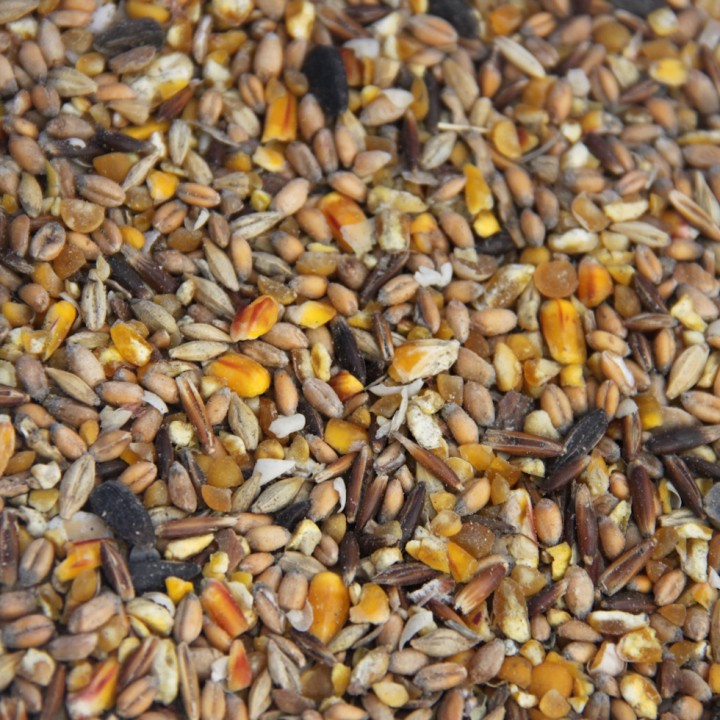 Aliment toutes volailles mélange de graines Multigrain - Le Père François, sac 25 kg
