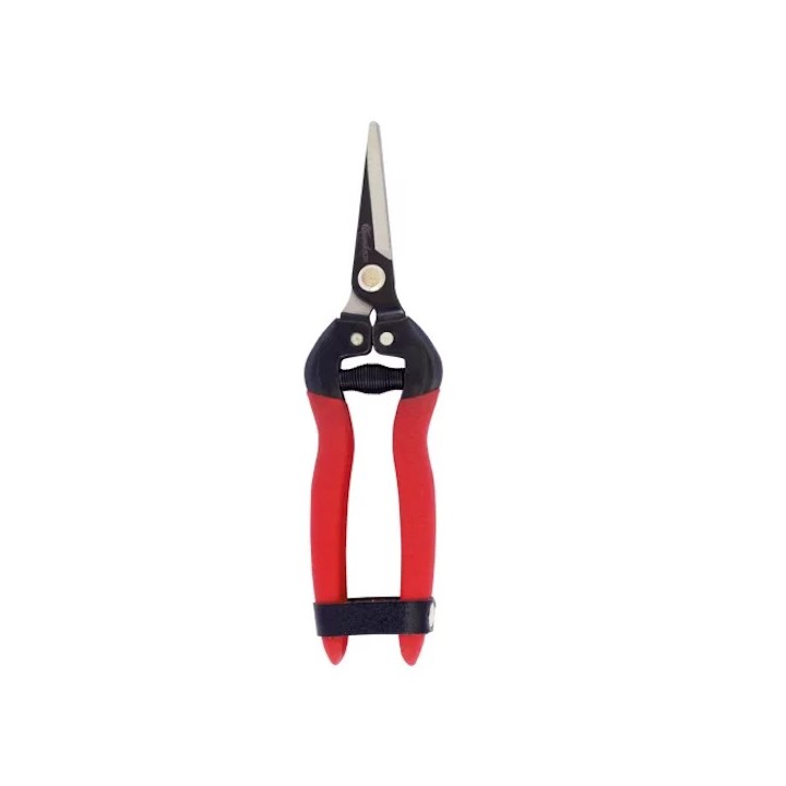 Épinette lame longue droite incurvée Kamikaze T-556 - Lot de 10