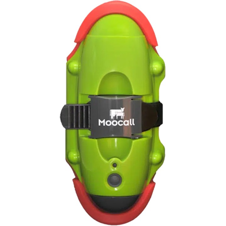 Detecteur Capteur de vêlage pour bovins Moocall