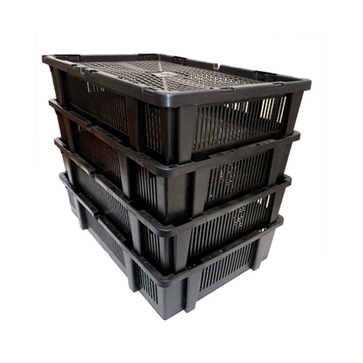 Couveuse automatique MG 320 ADP Maxi Pro Family SH FIEM