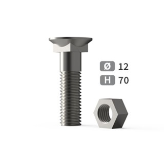 Boîte de 25 boulons à tête fraisée collet carré 70 mm,  Ø 12 mm