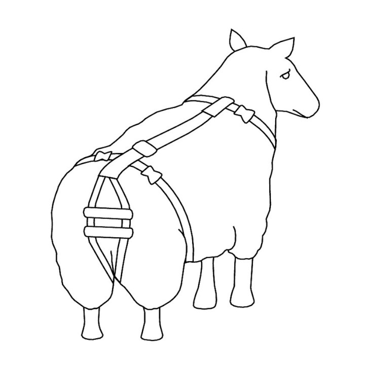 Bandage de prolapsus Kerbl pour moutons