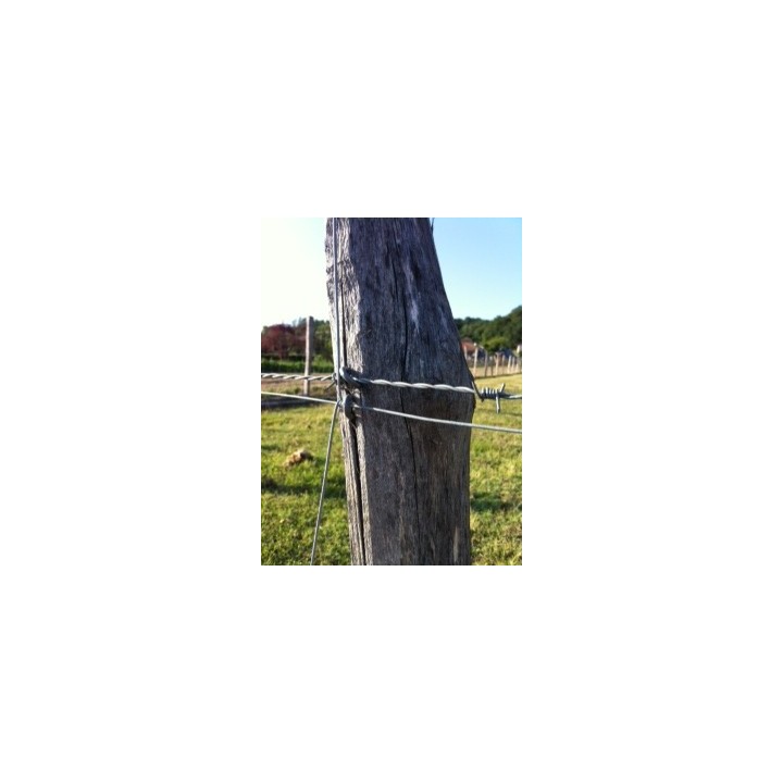 Crampillons Lisses Galvanisation Riche boite de 3 kg