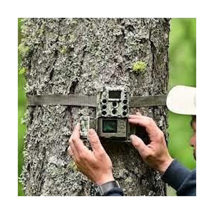 Piège photographique Caméra chasse Bushnell Core DS 4K No Glow