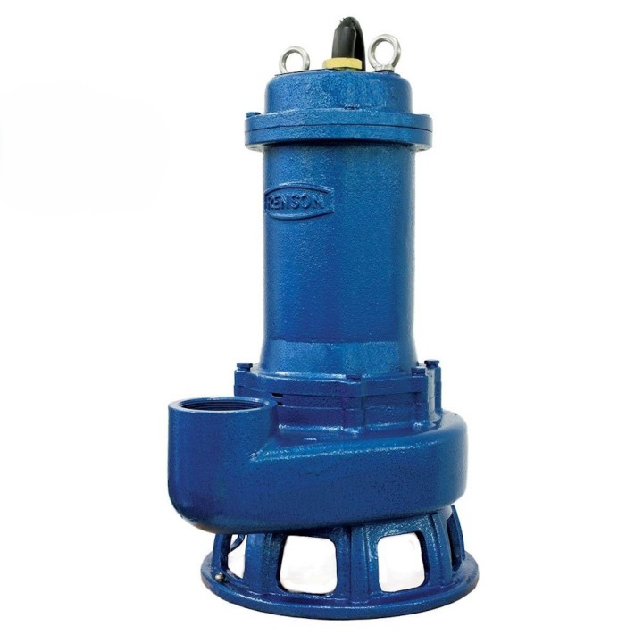 Pompe de relevage triphasée eaux chargées fonte 2,2 KW DN65 Renson