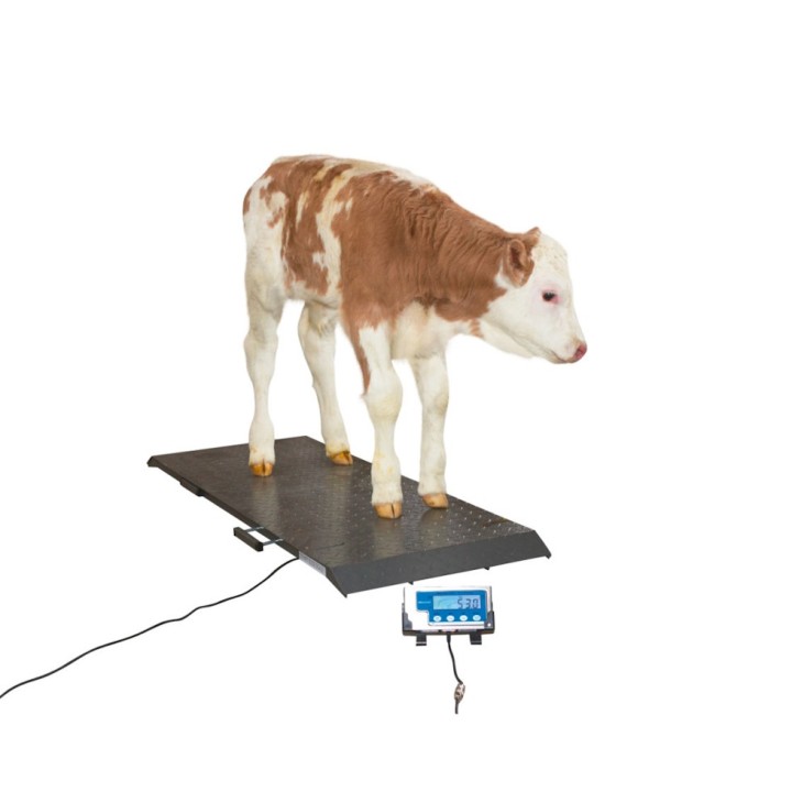 Balance plateforme complète animaux PS1000, graduation 200 gr, 500 kg
