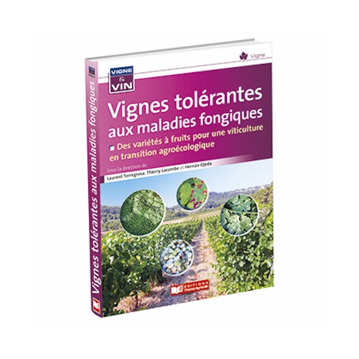 Vignes tolérantes aux maladies fongiques