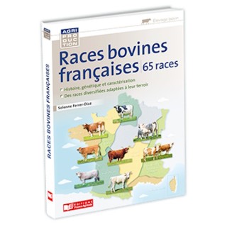 Races bovines françaises