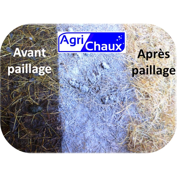 Pack Chaux éteinte CL-90 palette 1050 kg + Epandeur rotatif 100 L option logette - Agri Chaux