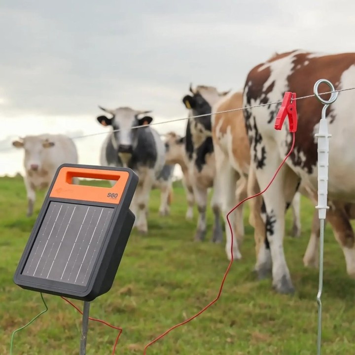 Electrificateur solaire S60li avec batterie lithiumGallagher