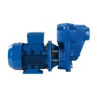 Pompe à engrais monophasée 450L/min - 1,5 kW - 240V Renson